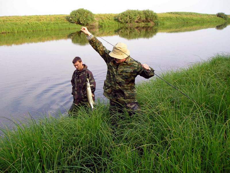 Рыбалка в Волжском на Ахтубе - лучшие места для рыбалки